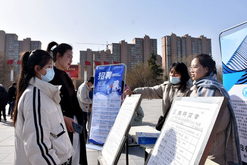 河北清苑 春風行動 架起招聘求職 連心橋