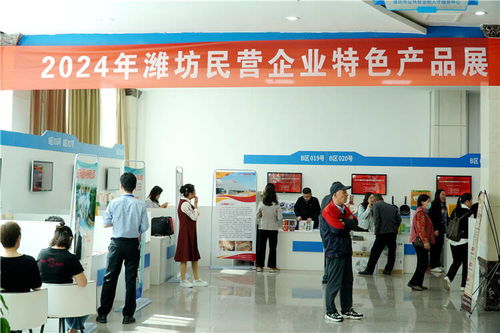 100家企業提供就業崗位2000余個 2024年濰坊市百強民營企業人才交流大會舉行