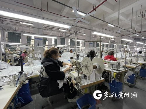 工廠建在家門口 產業就業雙豐收，職業中介活動助力發展